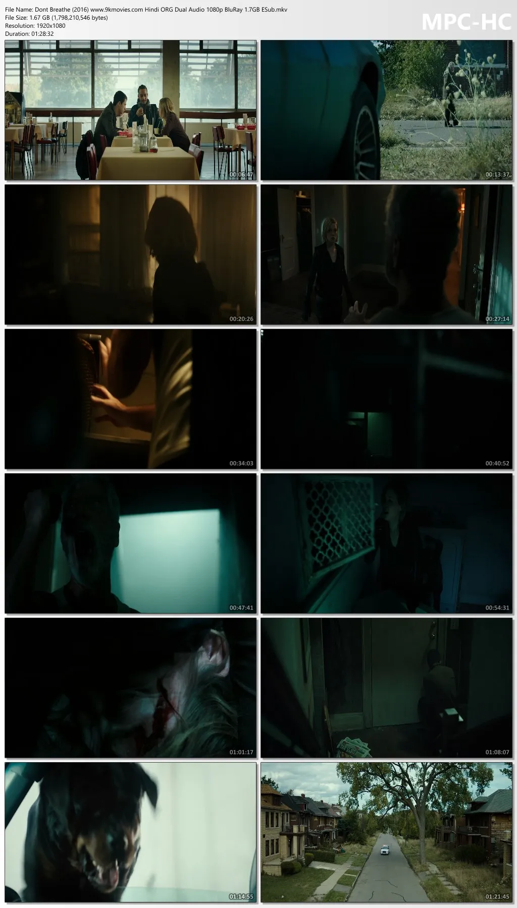 Dont Breathe 2016 Hindi ORG Dual Audio 1080p | 720p | 480p BluRay ESub Download