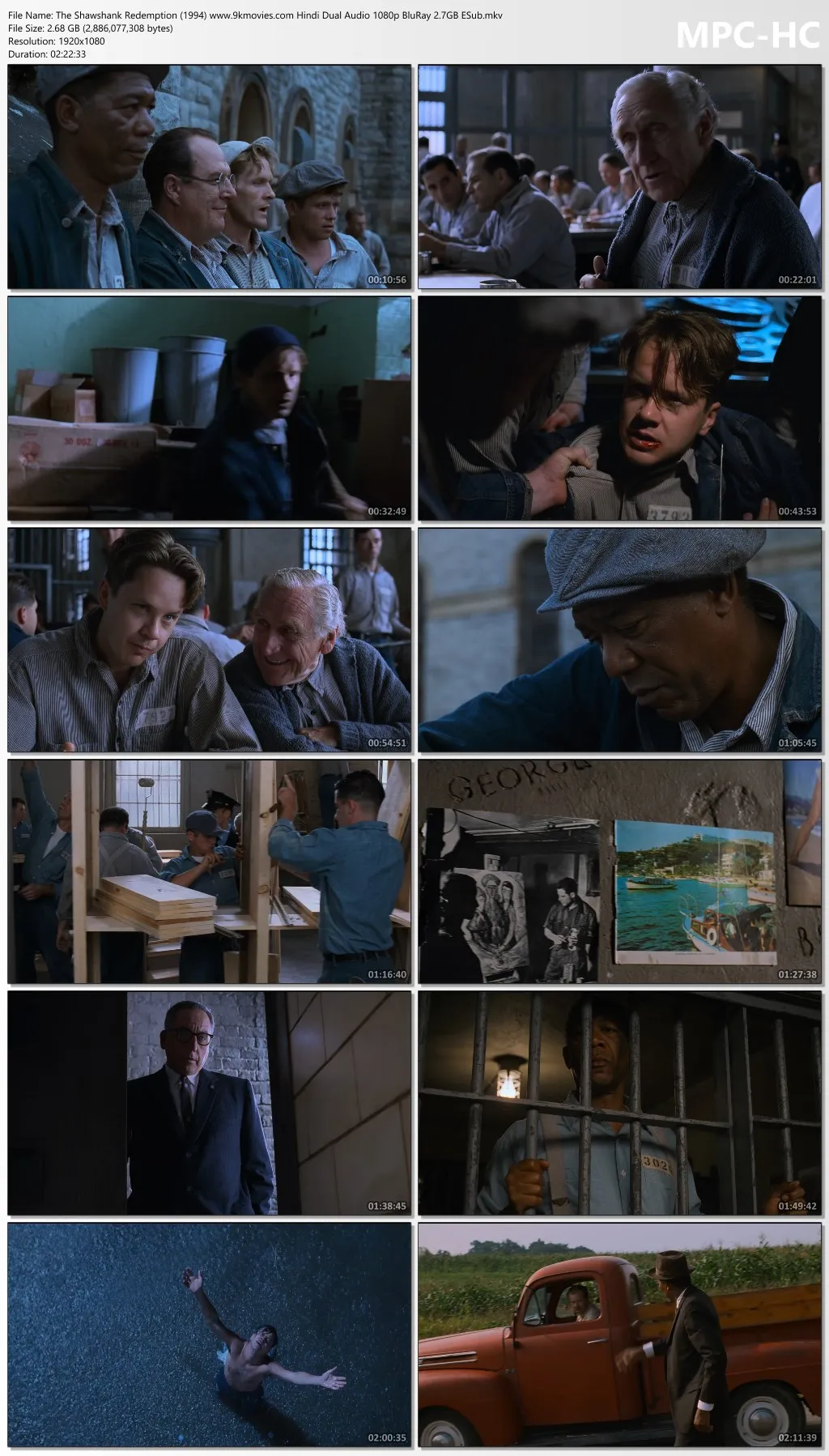 The Shawshank Redemption 1994 Hindi Dual Audio 1080p | 720p | 480p BluRay ESub Download