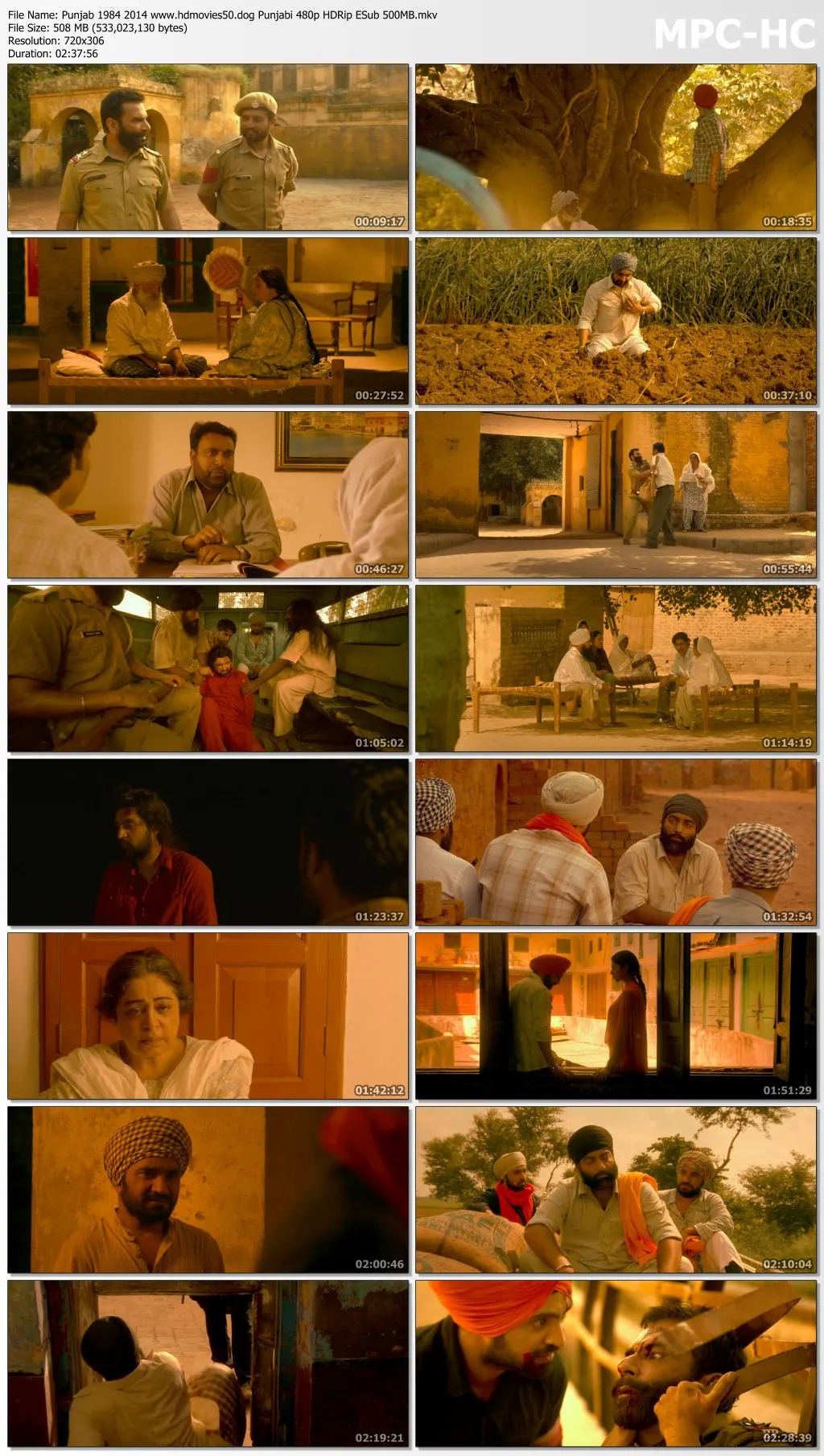 Punjab 1984 2014 Punjabi 480p HDRip ESub 500MB Download