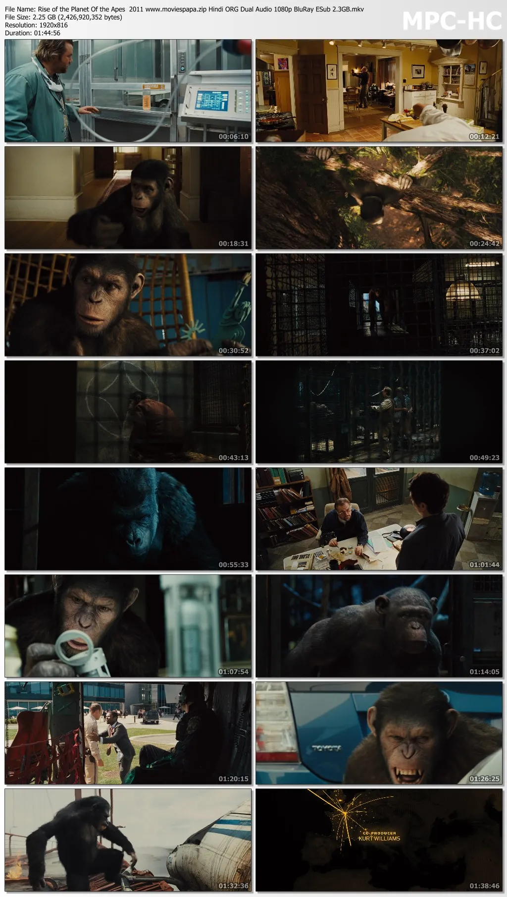 Rise of the Planet Of the Apes 2011 Hindi ORG Dual Audio 1080p | 720p | 480p BluRay ES