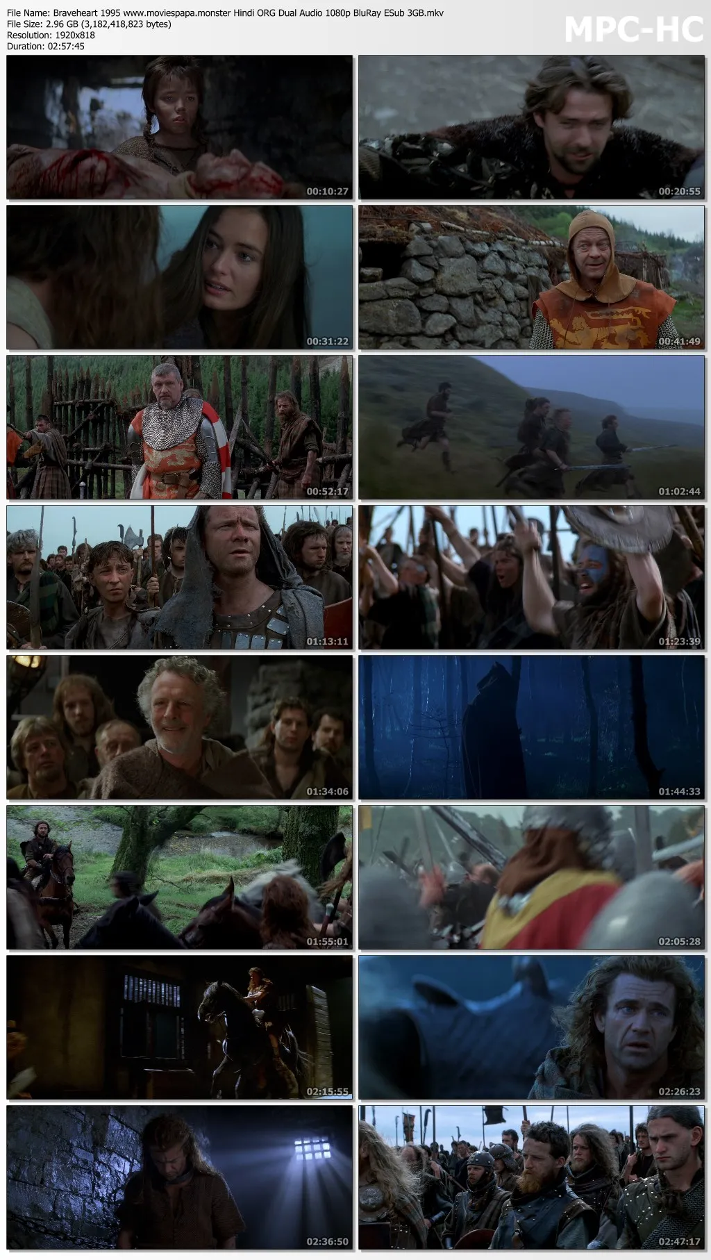 Braveheart 1995 Hindi ORG Dual Audio 1080p | 720p | 480p BluRay ESub Download