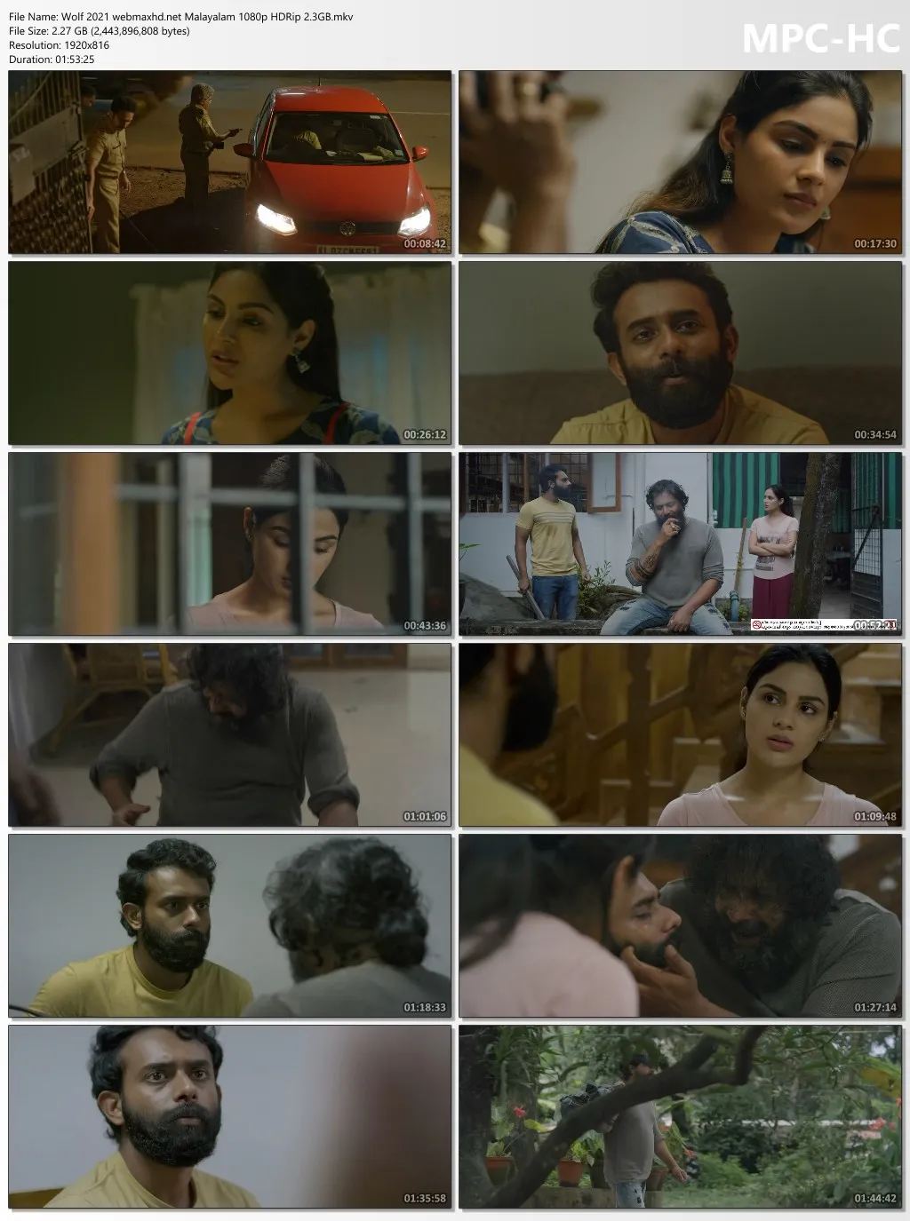 Wolf 2021 Malayalam 1080p | 720p | 480p HDRip Download