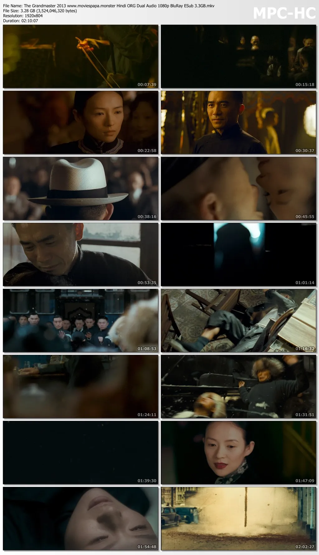 The Grandmaster 2013 Hindi ORG Dual Audio 1080p | 720p | 480p BluRay ESub Download