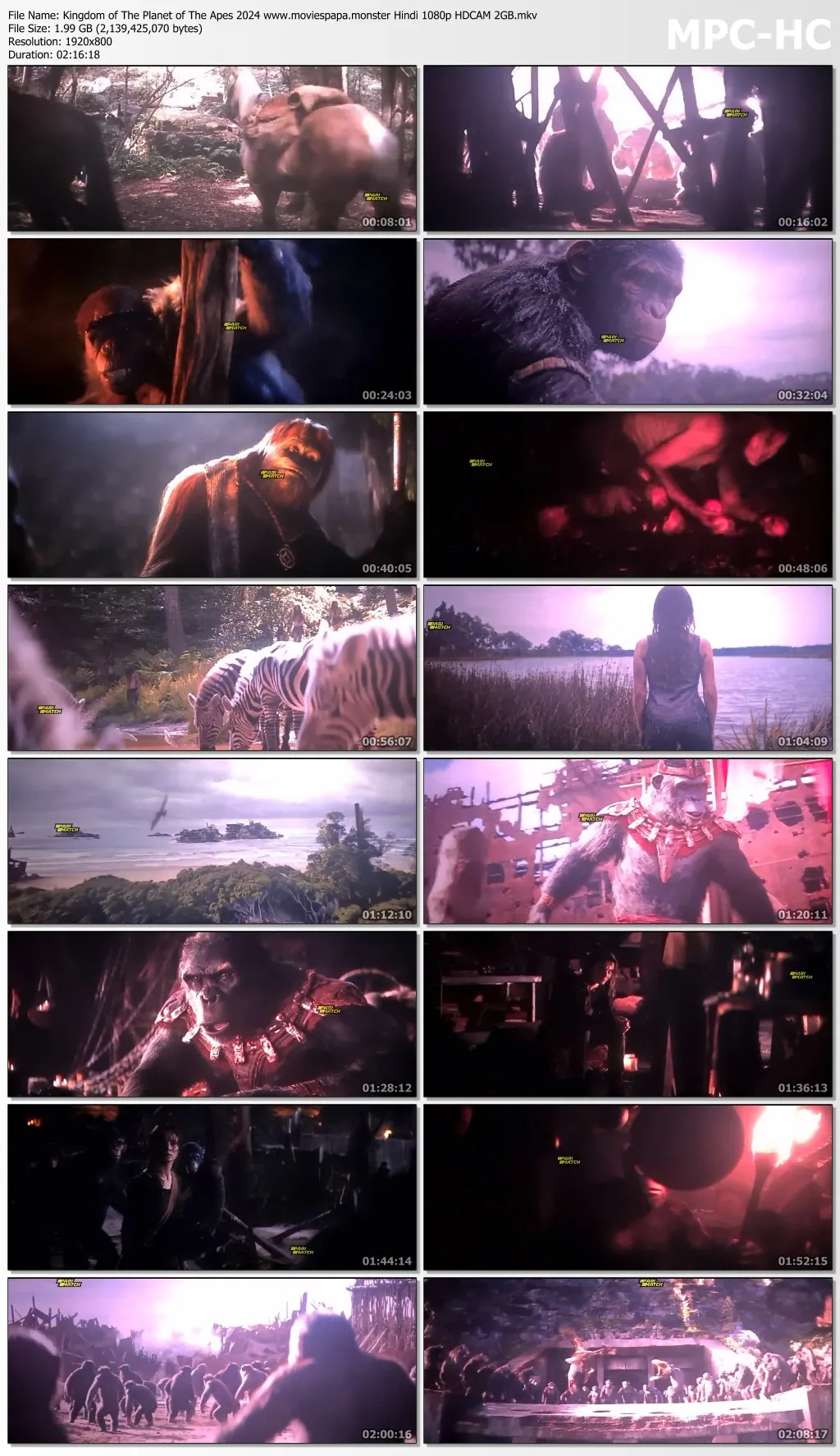 Kingdom Of The Planet Of The Apes 2024 Hindi 1080p | 720p | 480p HQ HDCAM Download