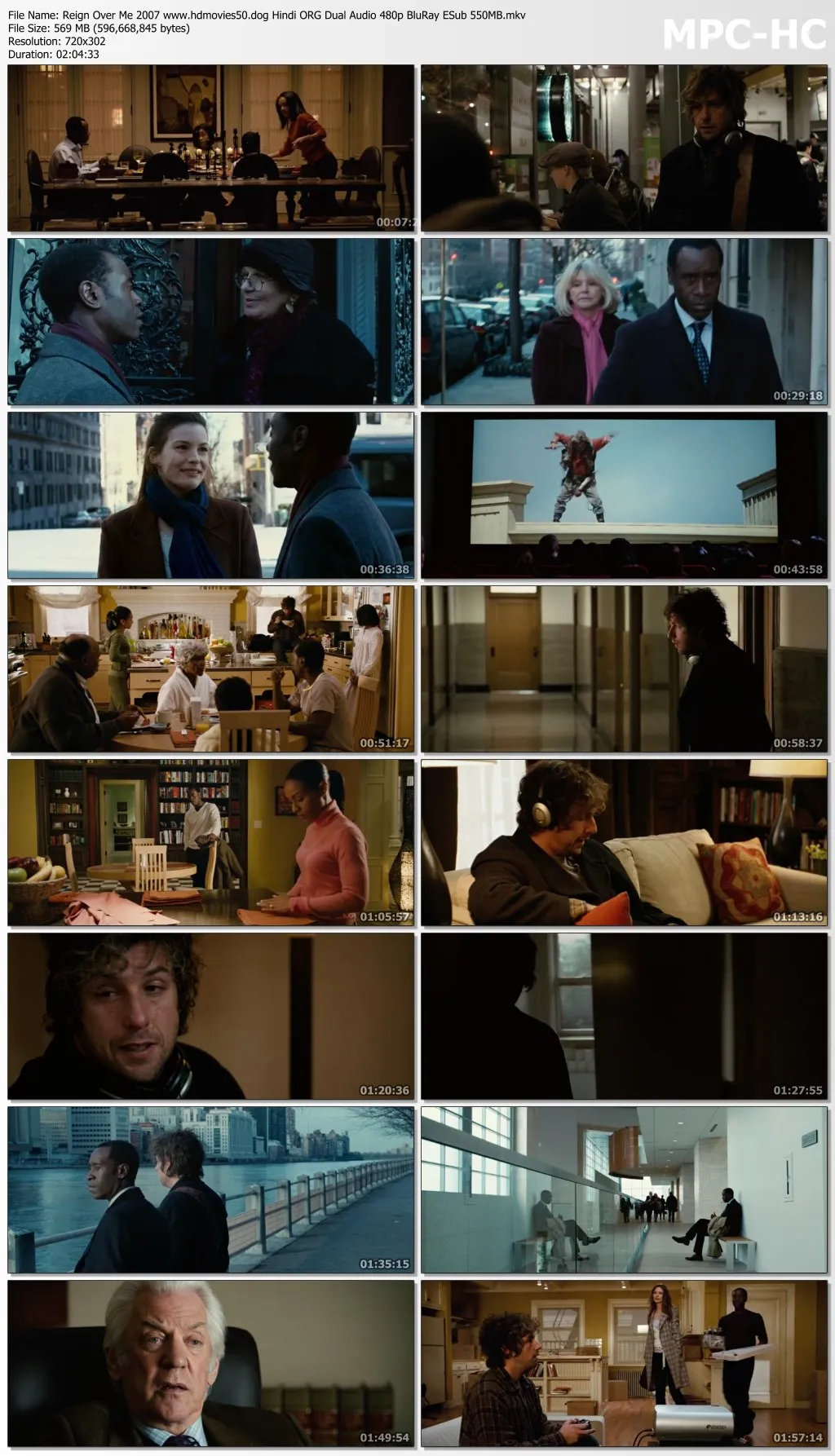 Reign Over Me 2007 Hindi ORG Dual Audio 480p BluRay ESub 500MB Download