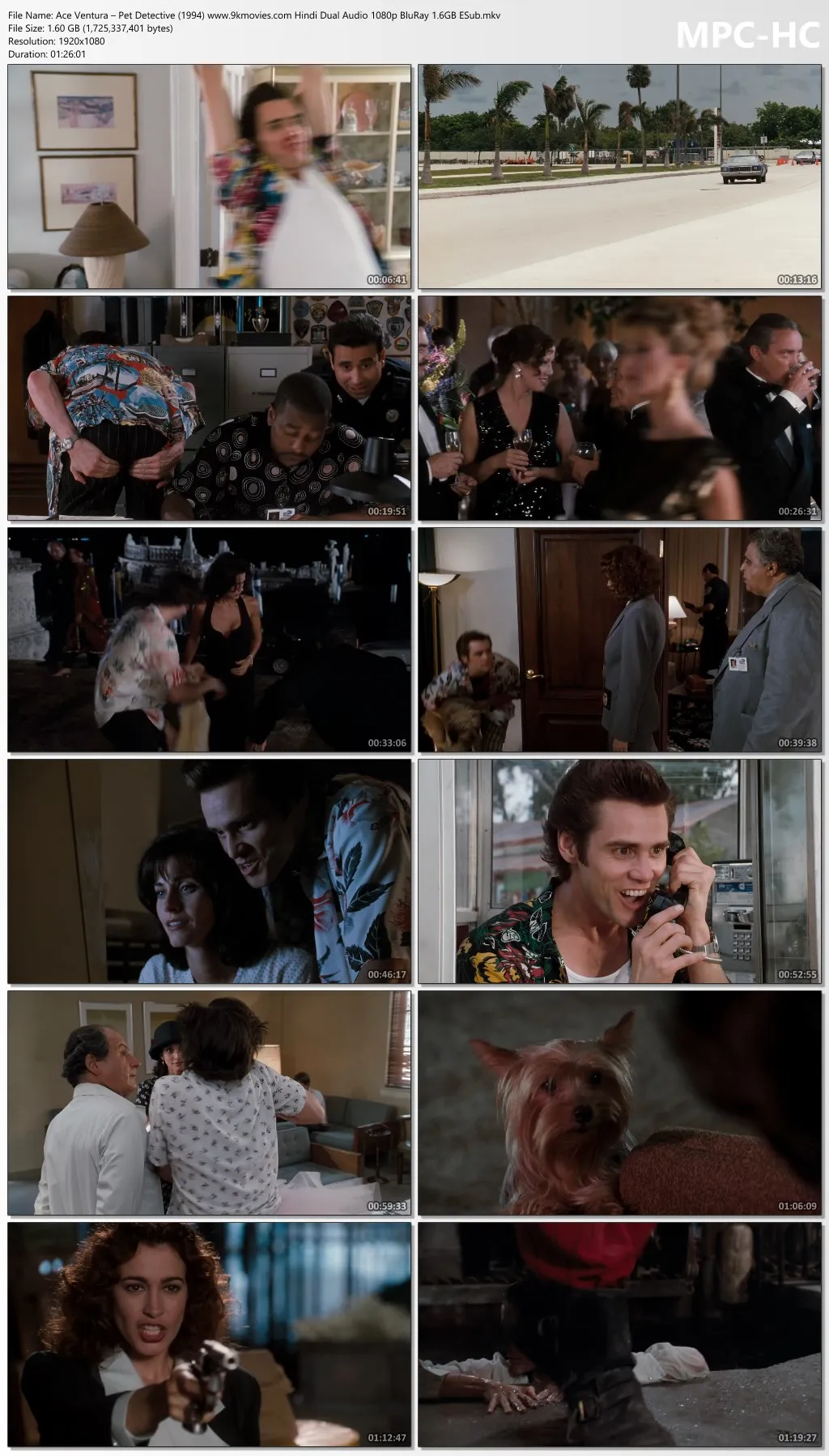 Ace Ventura Pet Detective 1994 Hindi Dual Audio 1080p | 720p | 480p BluRay ESub Download