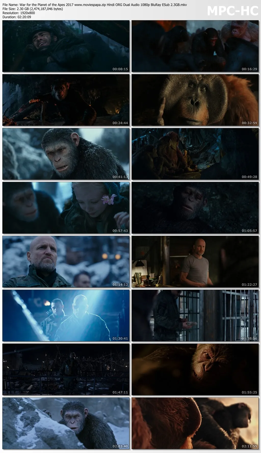 War for the Planet of the Apes 2017 Hindi ORG Dual Audio 1080p | 720p | 480p BluRay ESub