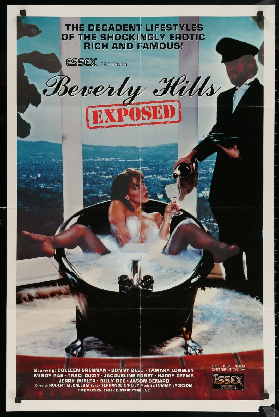 18+ Beverly Hills Exposed 1985 English 480p HDRip 250MB Download