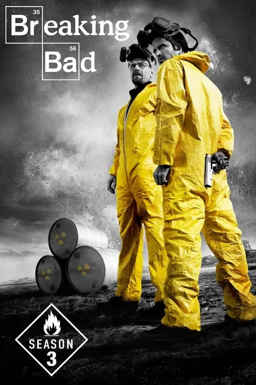Breaking Bad Season 3 2010 Hindi ORG Dubbed 480p BluRay 900MB Download