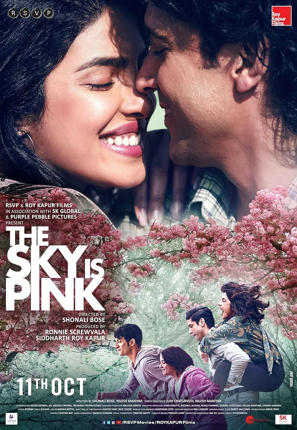 The Sky Is Pink 2019 Hindi 480p HDRip 600MB Download