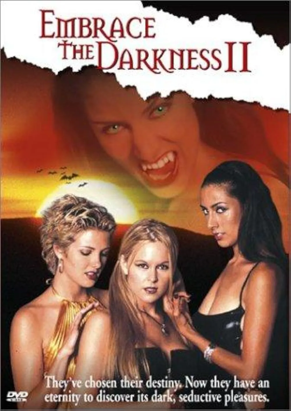 18+ Embrace the Darkness 2 2002 English 480p HDRip 300MB Download