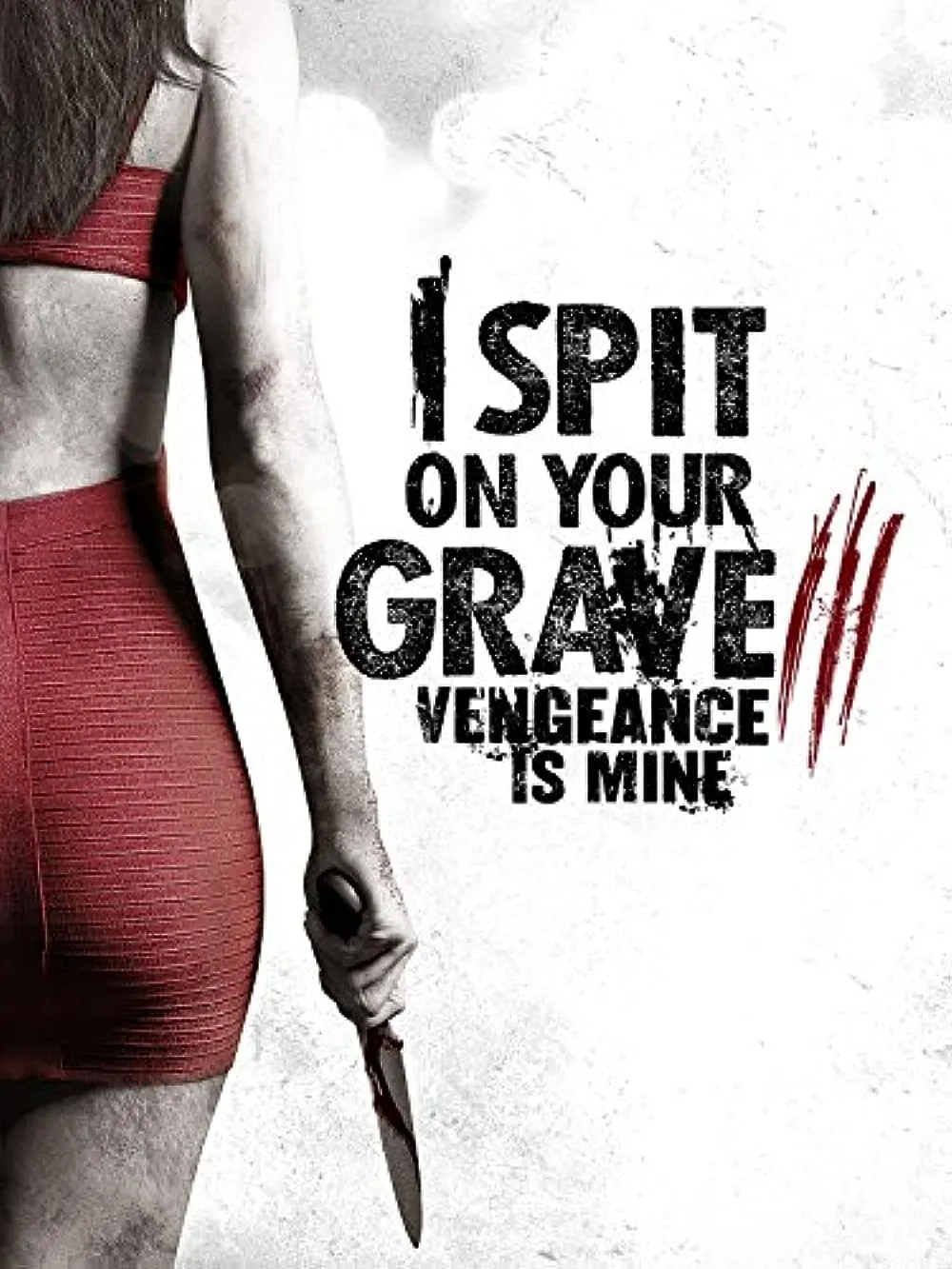 I Spit on Your Grave III Vengeance is Mine 2015 Hindi ORG Dual Audio 720p BluRay