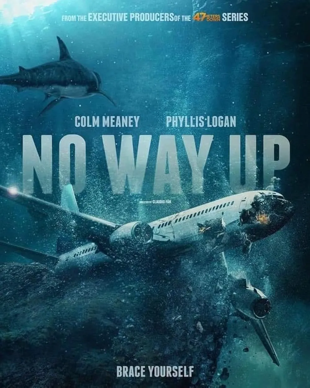 No Way Up 2024 Hindi ORG Dual Audio 1080p | 720p | 480p HDRip ESub Download