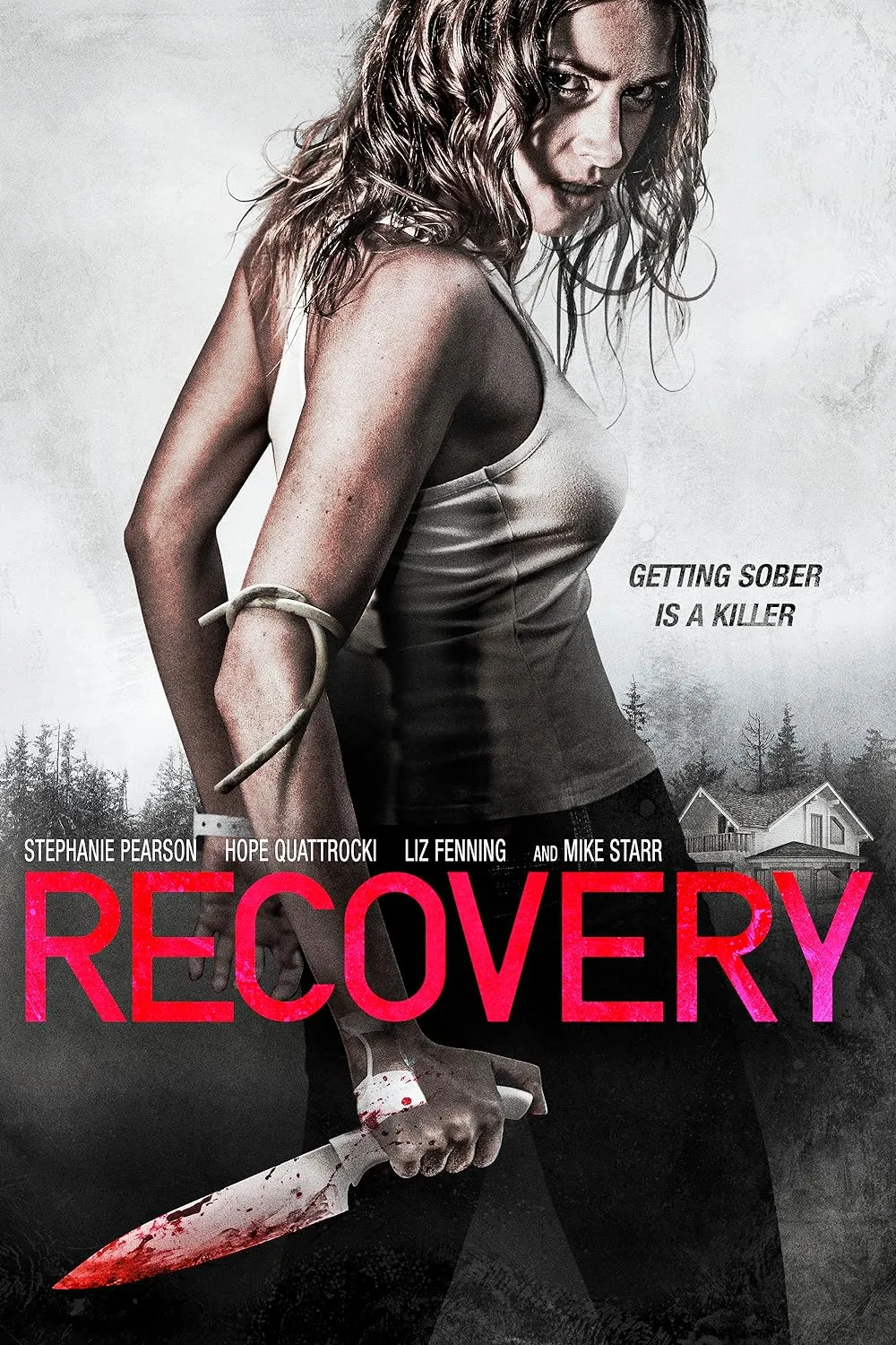 Recovery 2019 Hindi ORG Dual Audio 1080p | 720p | 480p HDRip ESub Download