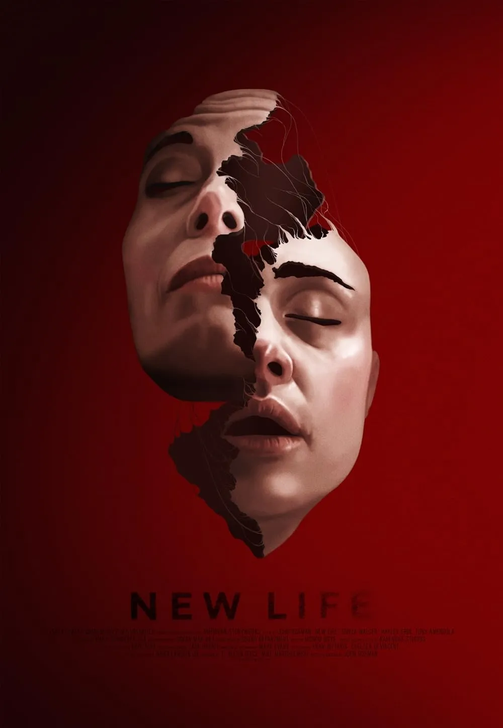 New Life 2024 English 1080p | 720p | 480p HDRip ESub Download