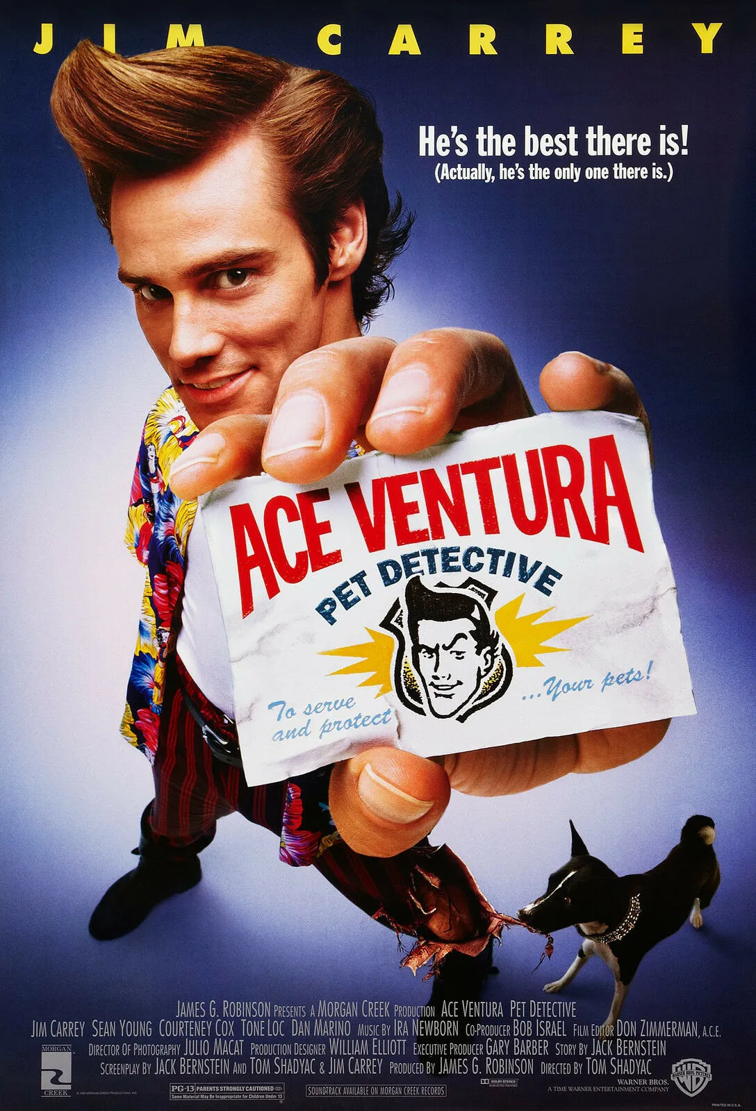 Ace Ventura Pet Detective 1994 Hindi Dual Audio 1080p | 720p | 480p BluRay ESub Download