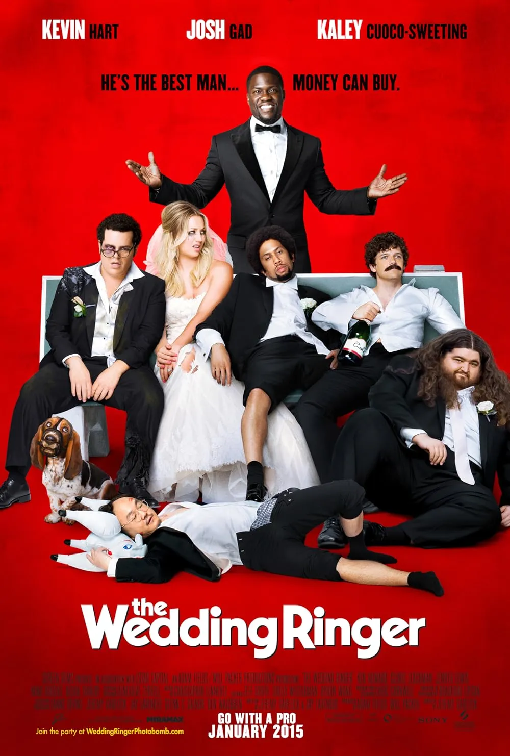 The Wedding Ringer 2015 Hindi ORG Dual Audio 1080p | 720p | 480p BluRay ESub Download